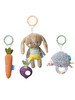 Taf Toys Baby Activity Toys Kit image number 1